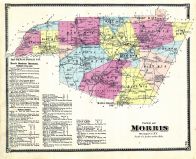 Morris - Town, Otsego County 1868